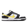 Кроссовки мужские Nike Dunk Low FQ2431-001