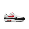 Кроссовки мужские Nike Air Max 1 FD9082-101